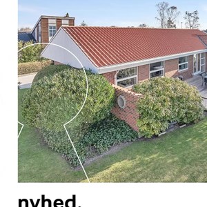 Opslagsbillede