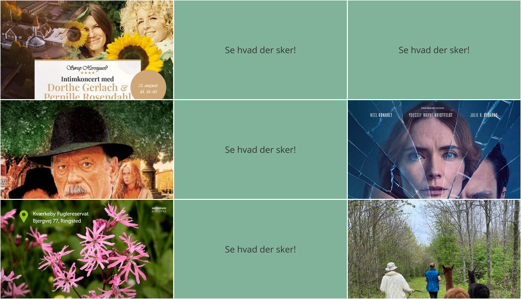 Uforglemmelig weekend i Ringsted: Musik, biograf og natur