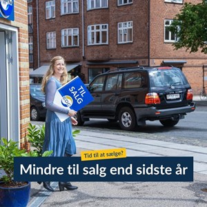 Opslagsbillede