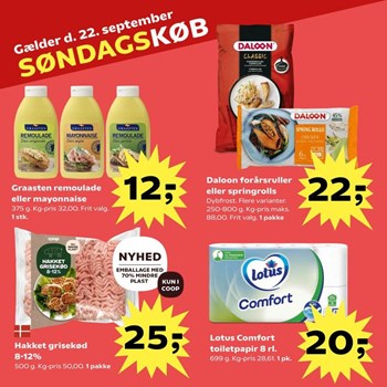 Opslagsbillede