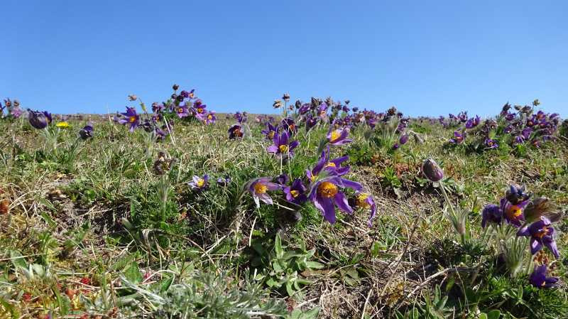 Udforsk Ulbjergs naturskønne landskab med Dansk Vandrelaug