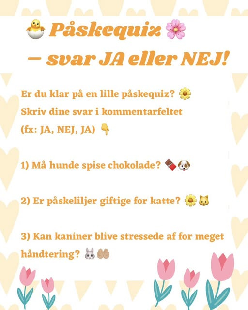 AniCura Dyrehospitalet City Syd lancerer påskekonkurrence med chancen for at vinde godbidder til kæledyr