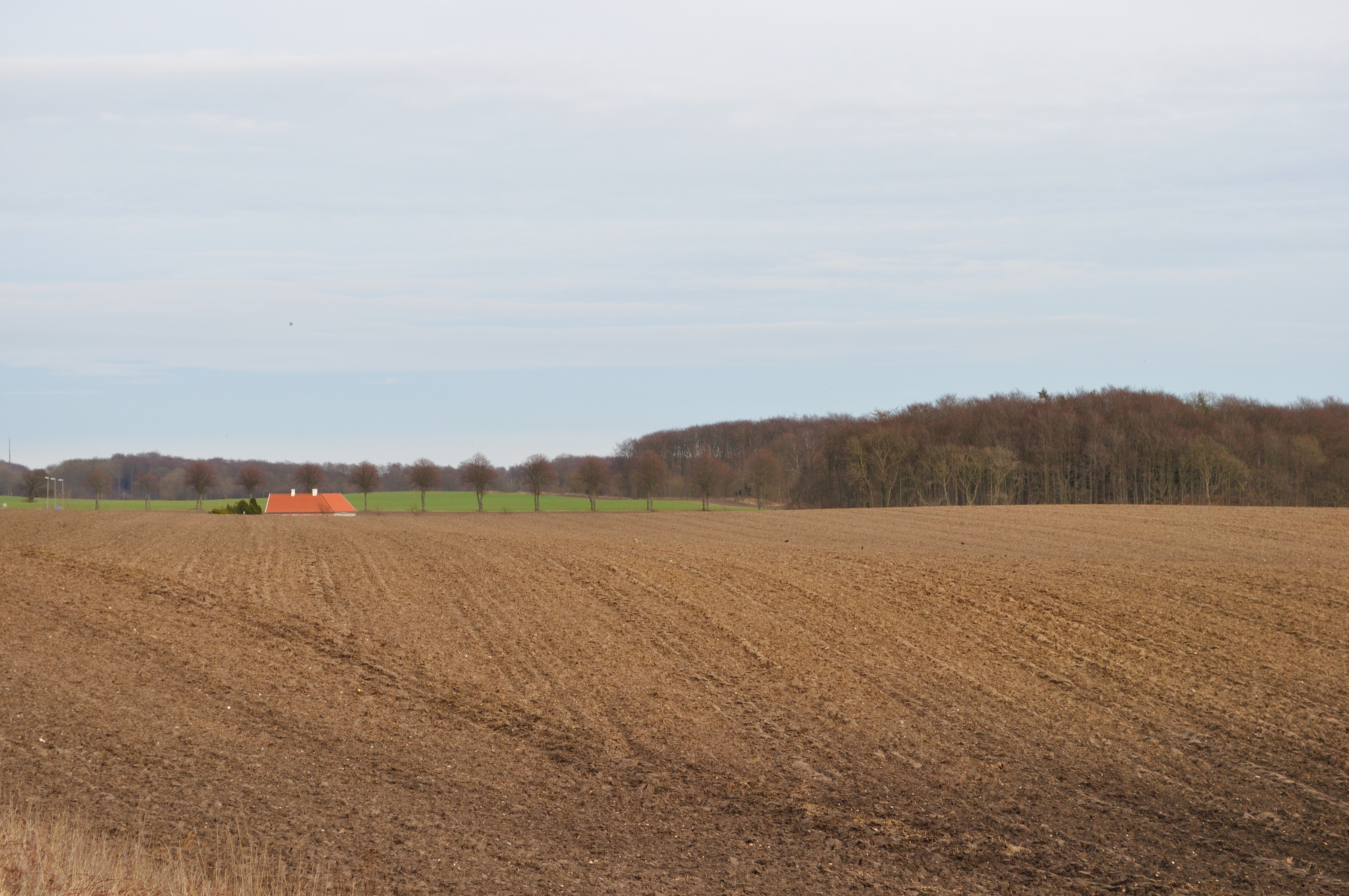 Historiske gåture for ældre i Præstø