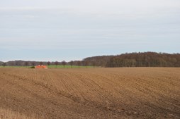 Historiske gåture for ældre i Præstø