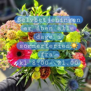 Opslagsbillede