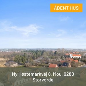 opslagsbillede