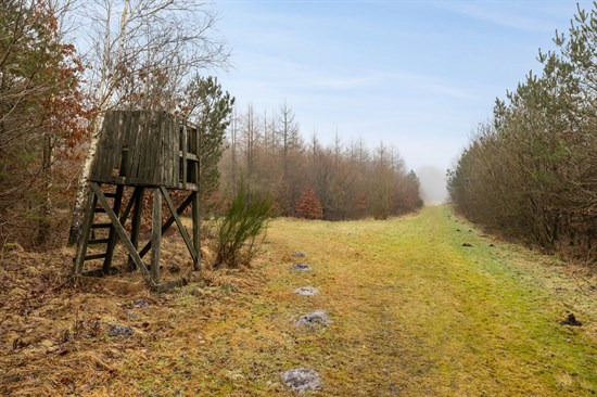 Top 6 over dyreste boliger til salg i Gadbjerg. Priser op til 5.800.000 kr