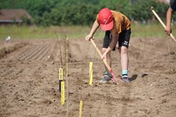 Skov og frugtlunde på vej: Lige inden sommerferien planter Uldum ny skov