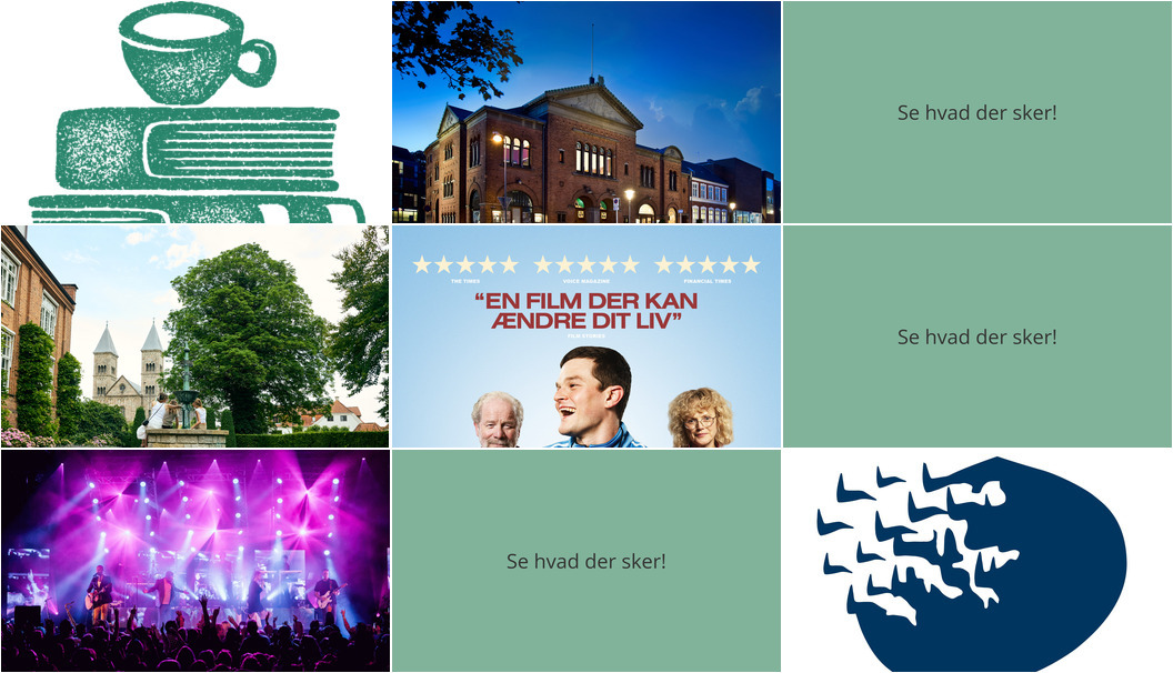 Oplev Viborg denne weekend: Fra højtlæsning til teaterkoncert og 80'er hits