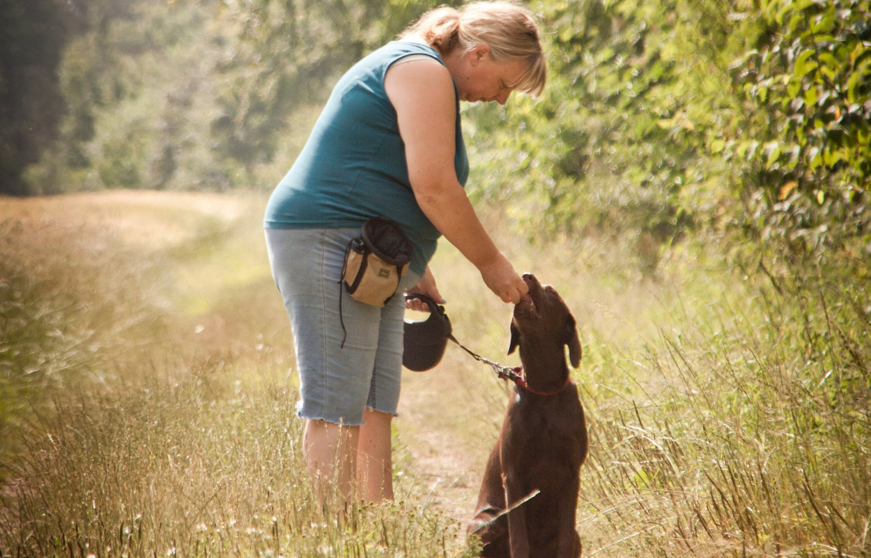 Hos Brønderslev Hundepension får du en glad og træt hund hjem