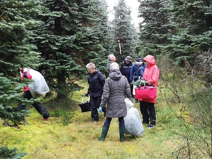 Hyggelig familieskovtur i Klosterheden med Haveselskabet Struer