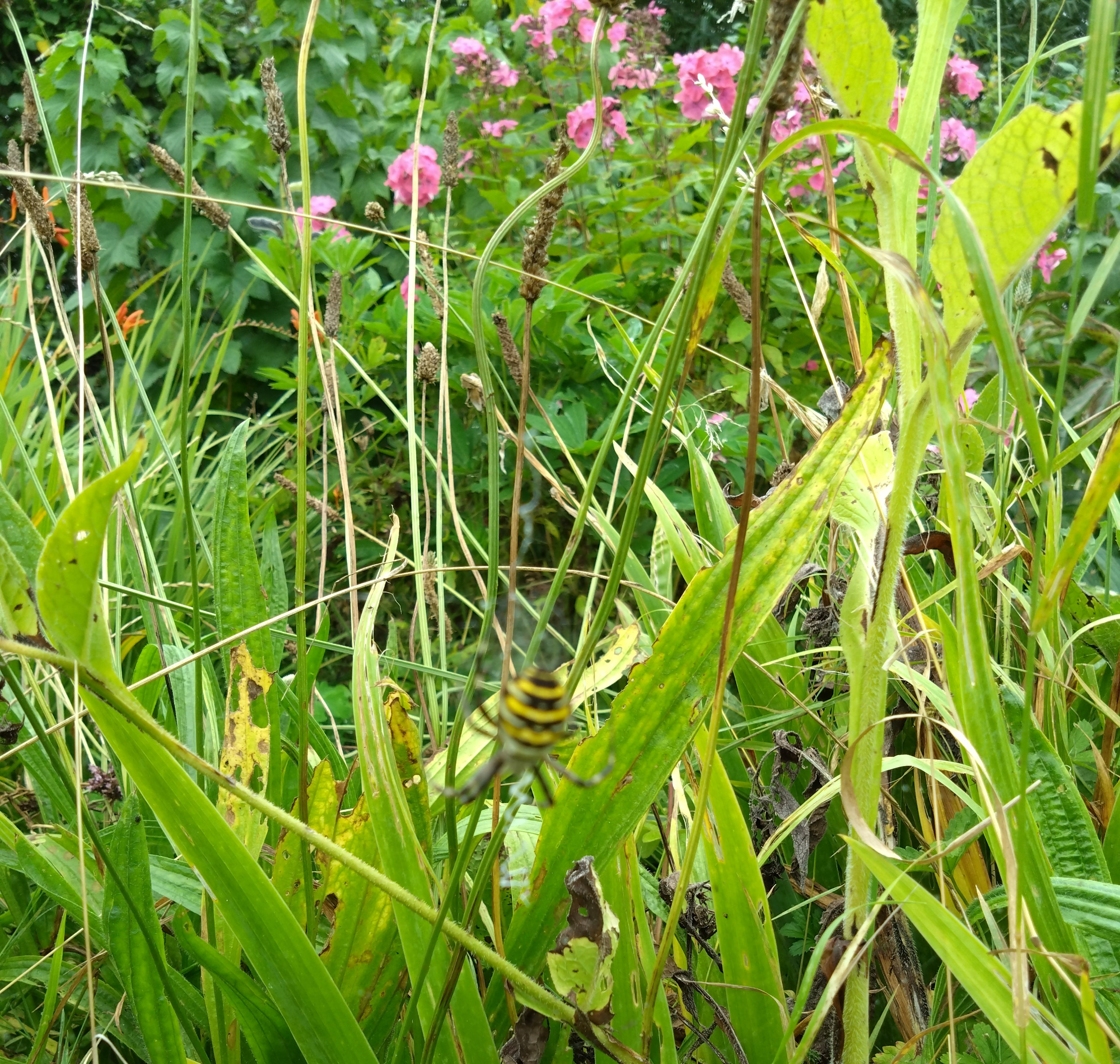 Foredrag om klimafilosofi på Ærøskøbing bibliotek