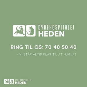 Opslagsbillede