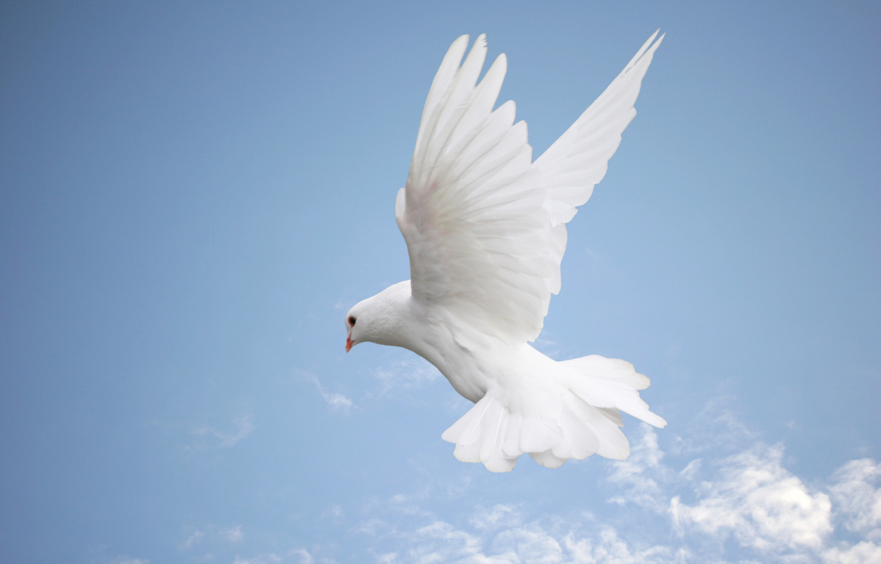 Mindeord over frisør Verner Jessen, Aabenraa