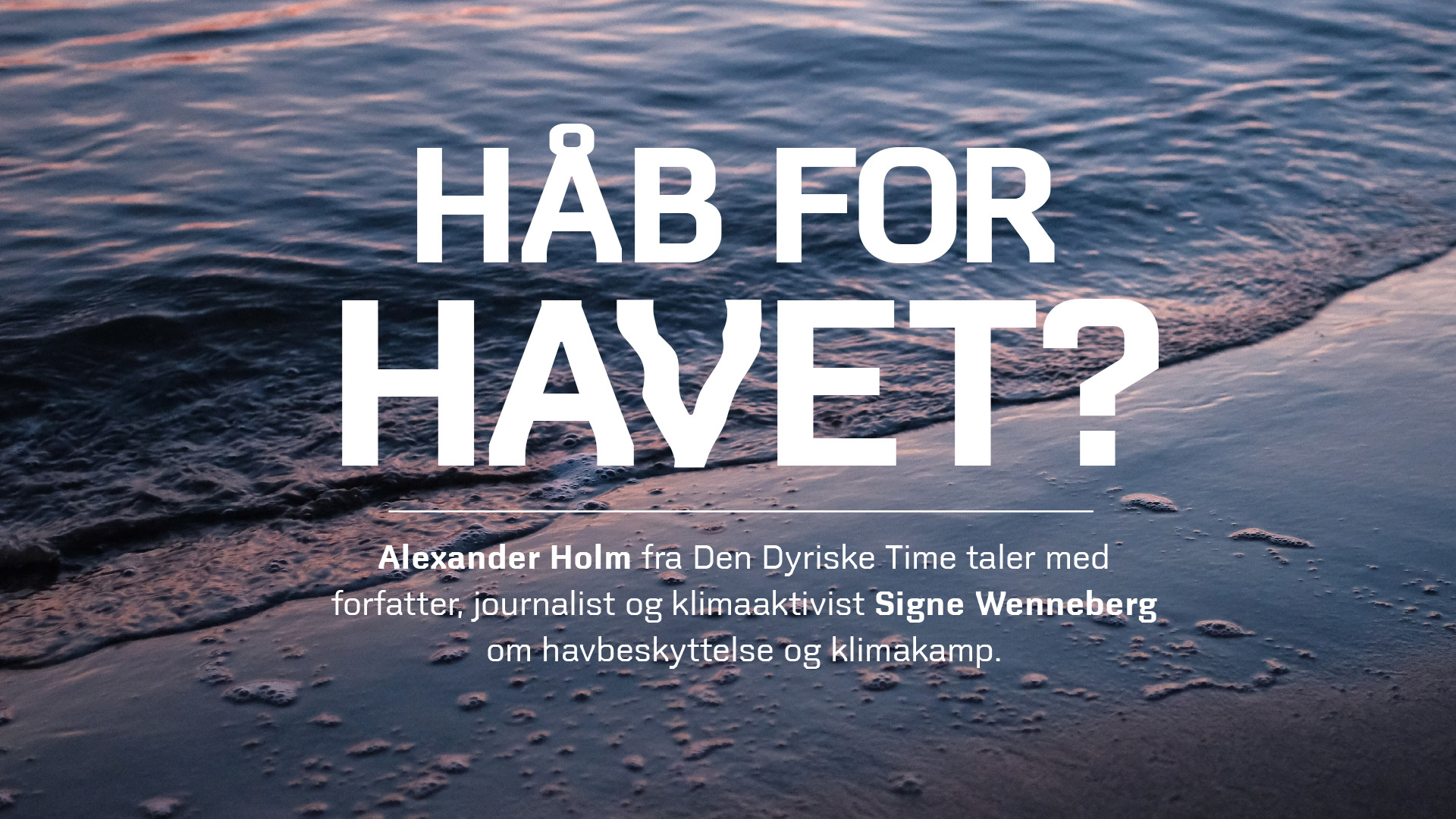 Håb for havet: Samtale om klimakamp med Signe Wenneberg