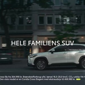 Opslagsbillede
