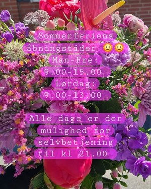 opslagsbillede