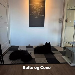 Opslagsbillede