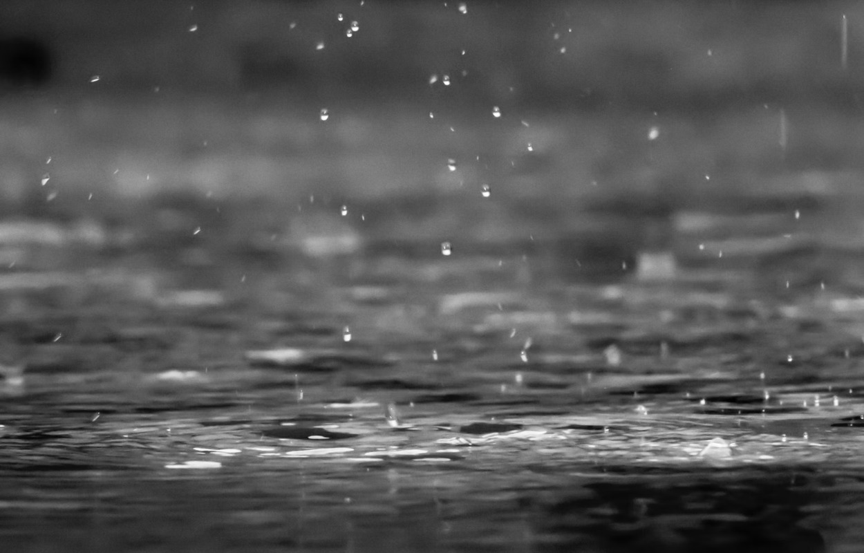 Rathlousdaldæmningen i Odder har vist sig at virke