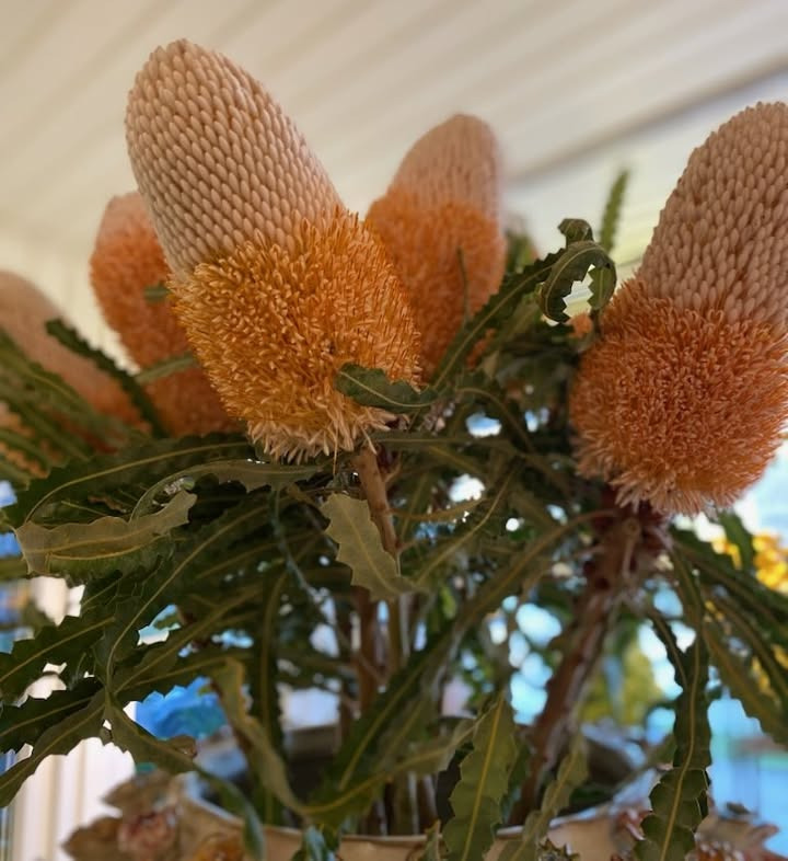 Florist Pernille DB inviterer til kransekursus i marts