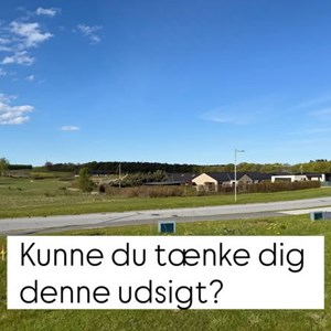 Opslagsbillede