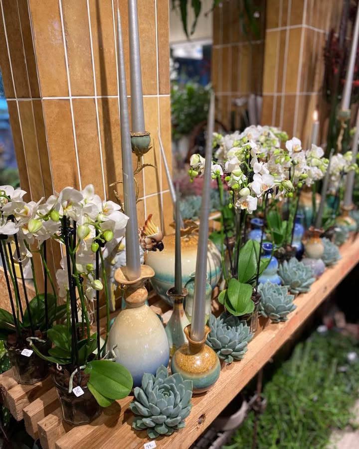 Florist Pernille DB tilbyder inspiration til værtindegaver