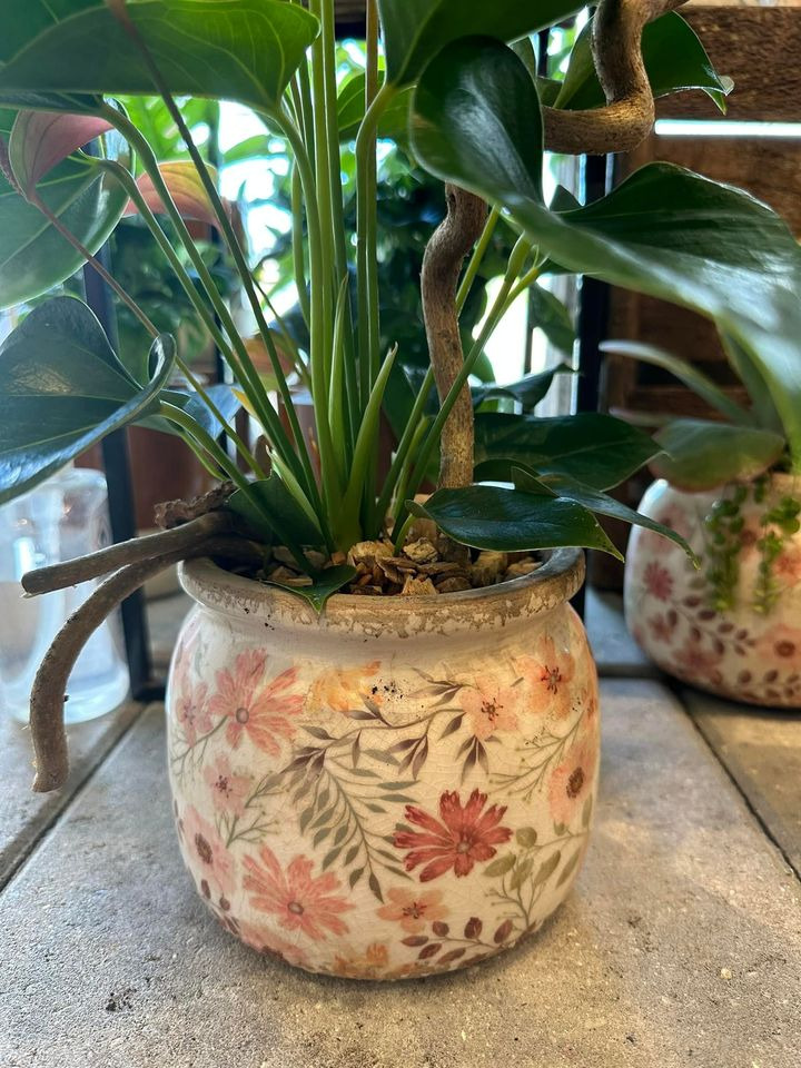 Opdatér dig her: Det nyeste fra Randers