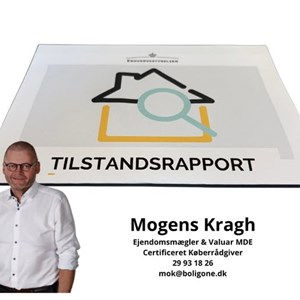 Opslagsbillede