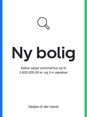 opslagsbillede
