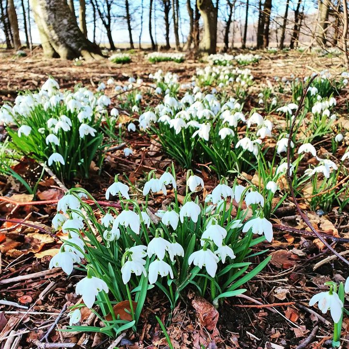 Hold trit med lokalområdet: Nyt fra Hjørring