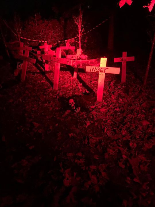 Hold dig ajour med dagens opdateringer fra Kolding