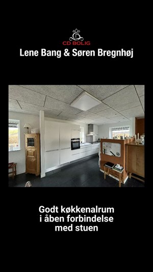 opslagsbillede