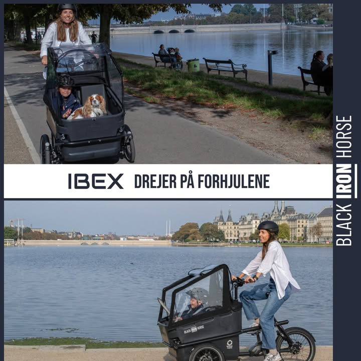 Gladcyklen ApS præsenterer den populære IBEX ladcykel med høj mobilitet