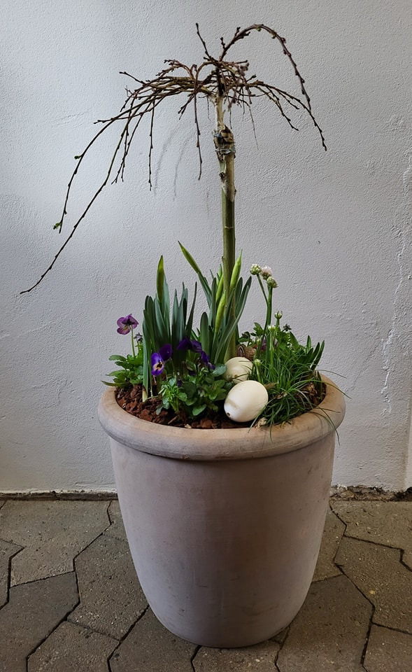 Det nyeste på Viborgs opslagstavle