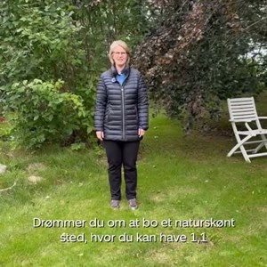 Opslagsbillede