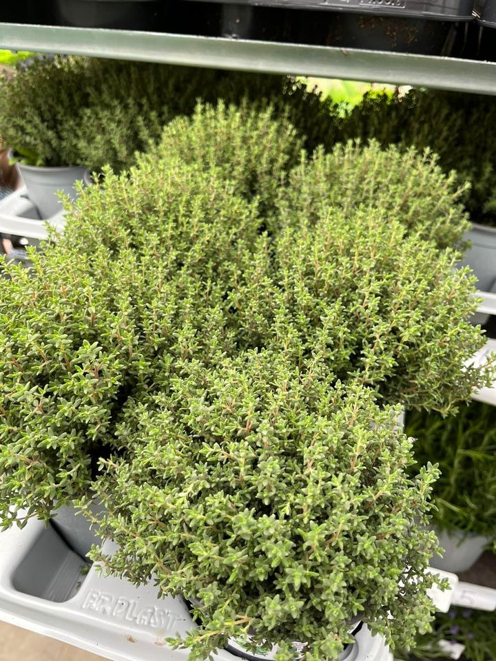 Opslagstavlen: Nyeste opdateringer fra Hedensted