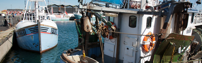 Frederikshavn Kommune advarer om store lokale konsekvenser ved nye beskyttede havområder og efterlyser dialog
