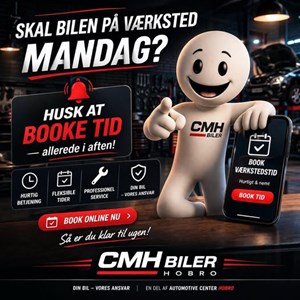 Opslagsbillede