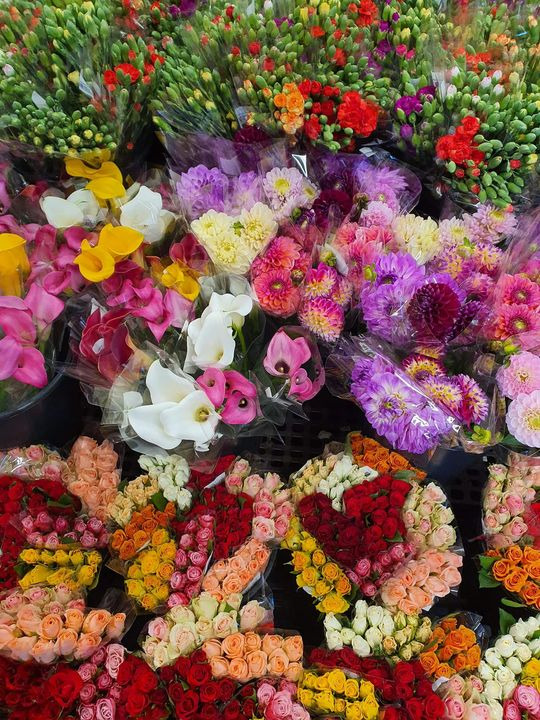 Se dagens updates fra Viby J her