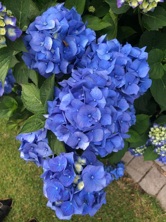 Se dagens updates fra Skive her