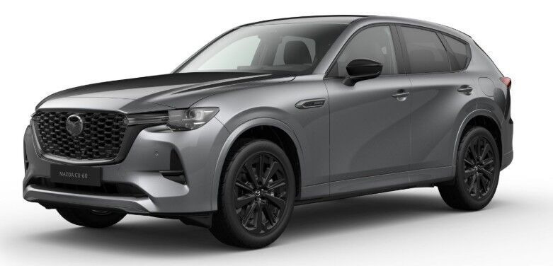 Biler netop sat til salg i Ryomgård