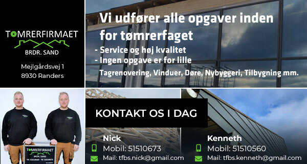 Allan kæmpede med allergi i 30 år - nu har han fået en helt anden ...