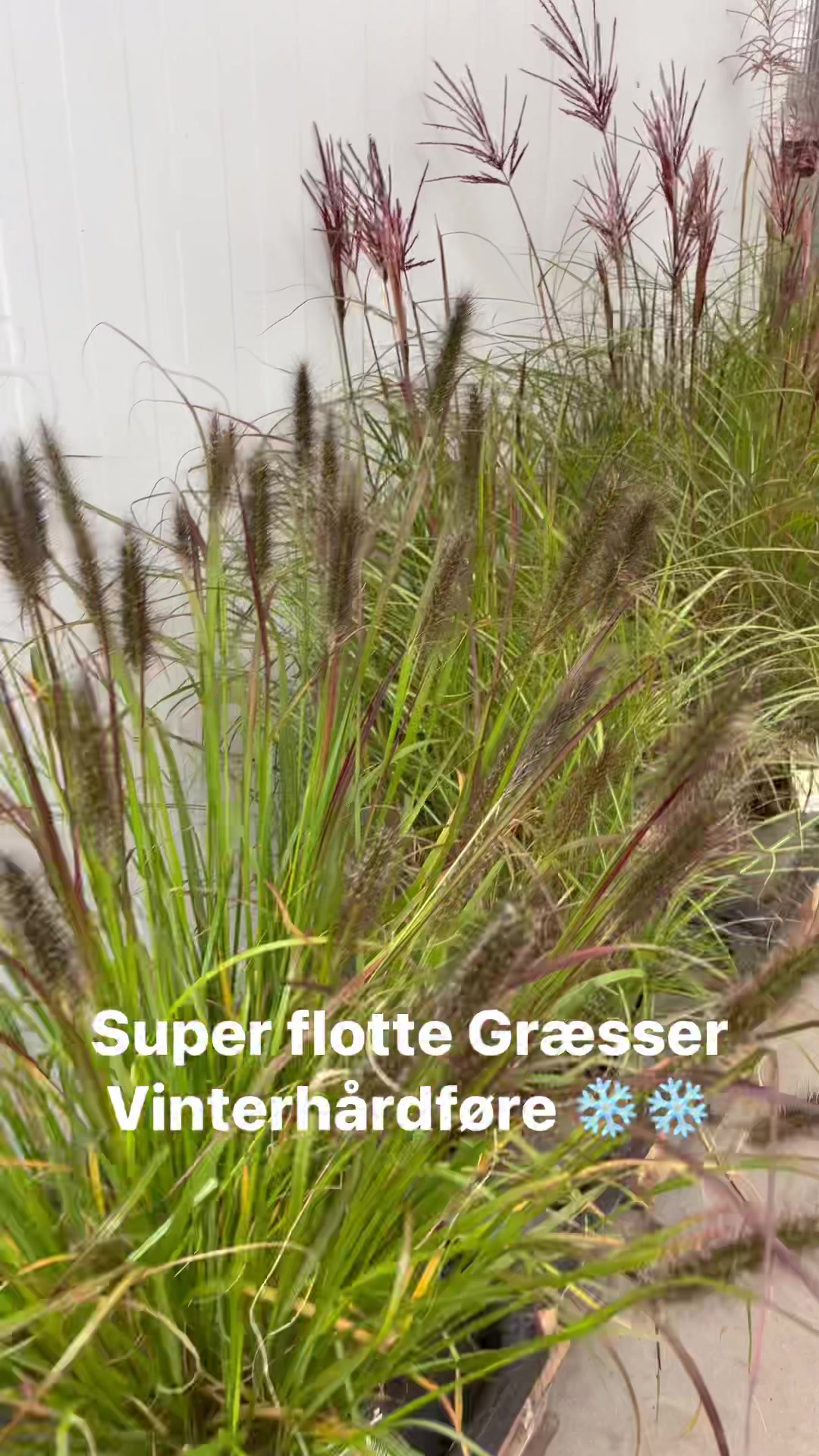 Hold dig ajour med dagens opdateringer fra Odder