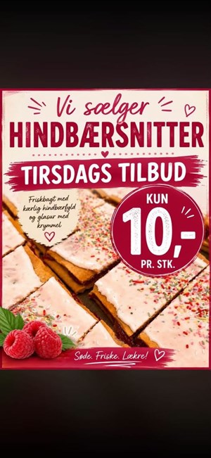 opslagsbillede