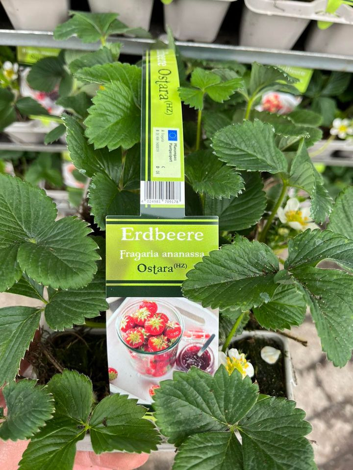 Hold dig ajour med dagens opdateringer fra Horsens