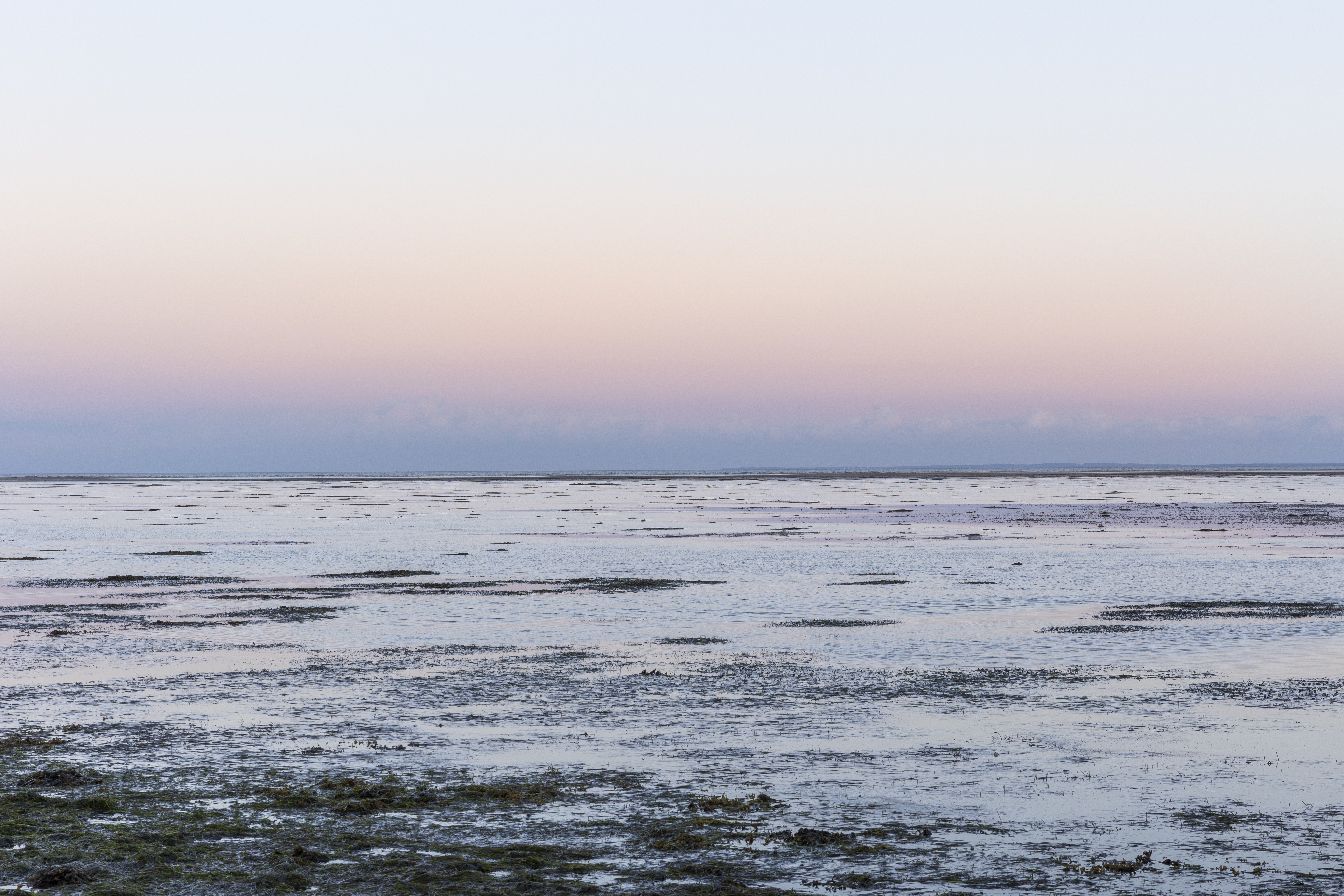 Familievenlig tur til Kattegats vadehav