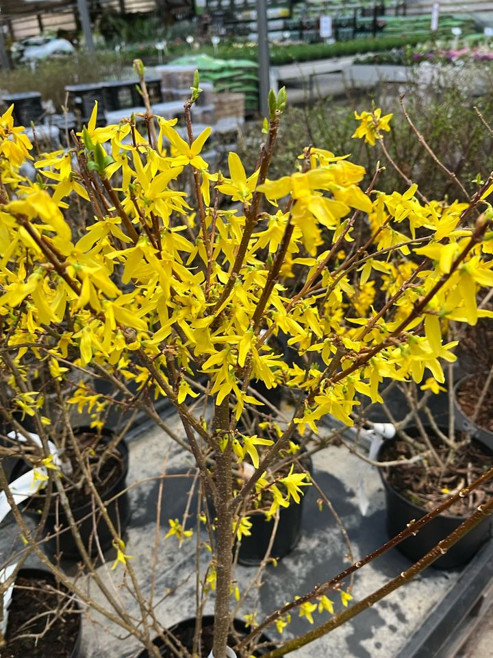 Se dagens updates fra Odder her