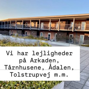 Opslagsbillede