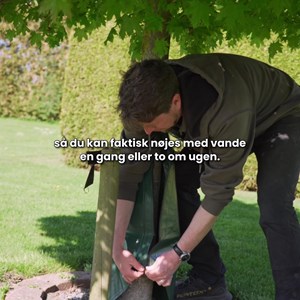 Opslagsbillede