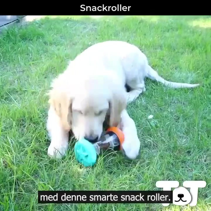 Se dagens updates fra Odder her